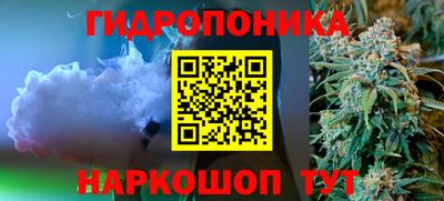 соль ск Шелехов