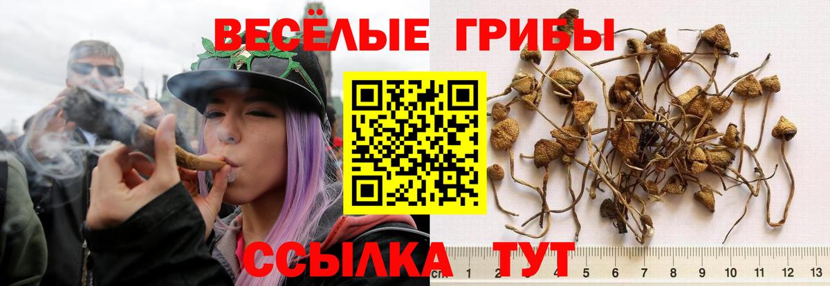 Воркута  Псилоцибиновые грибы прущие грибы  Вход с VPN 